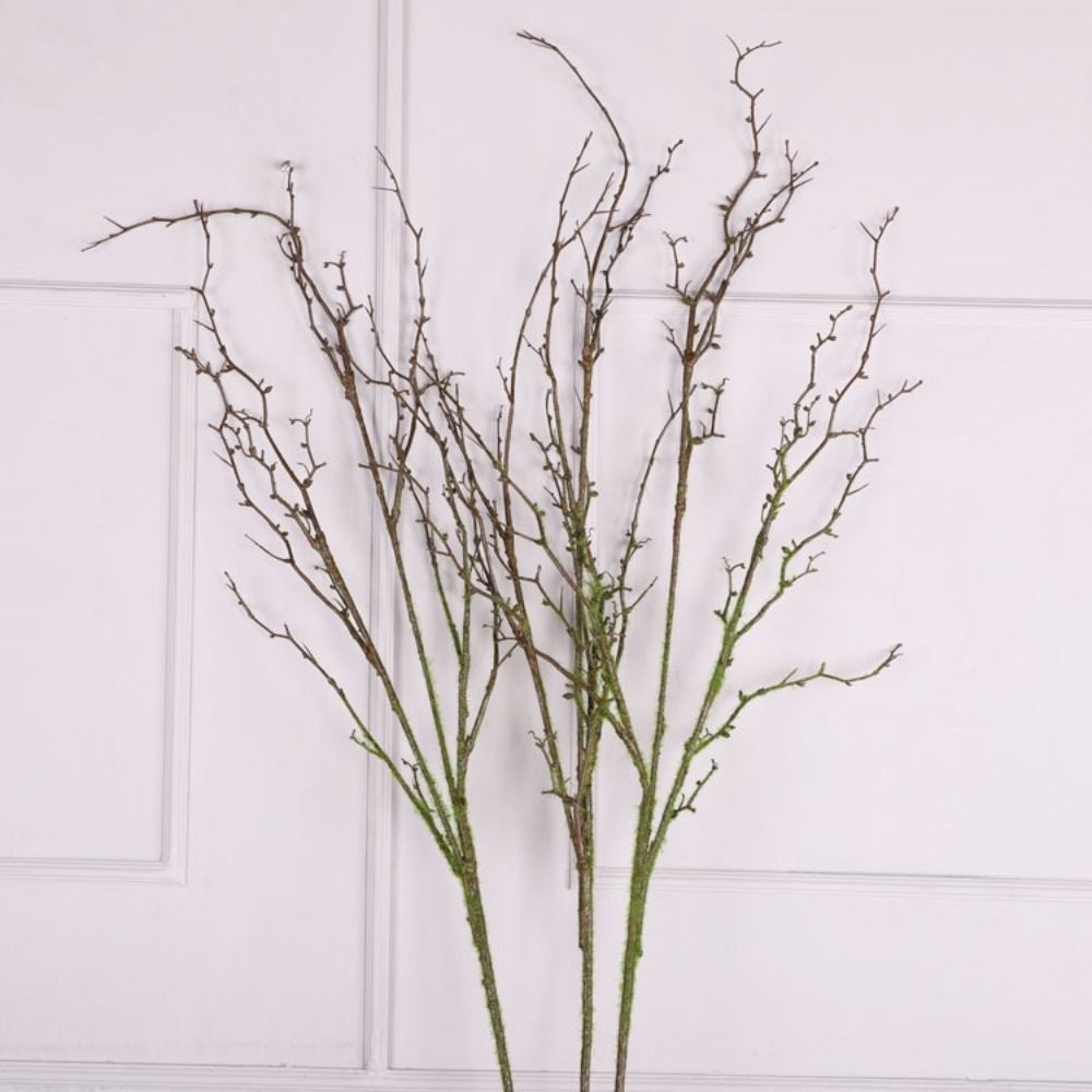 Branche d'herbe de la mer arti - Branch Curly Willow avis et prix