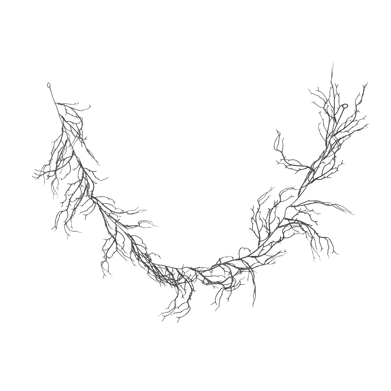 Branches de saule noires flexi - Branch Curly Willow avis et prix